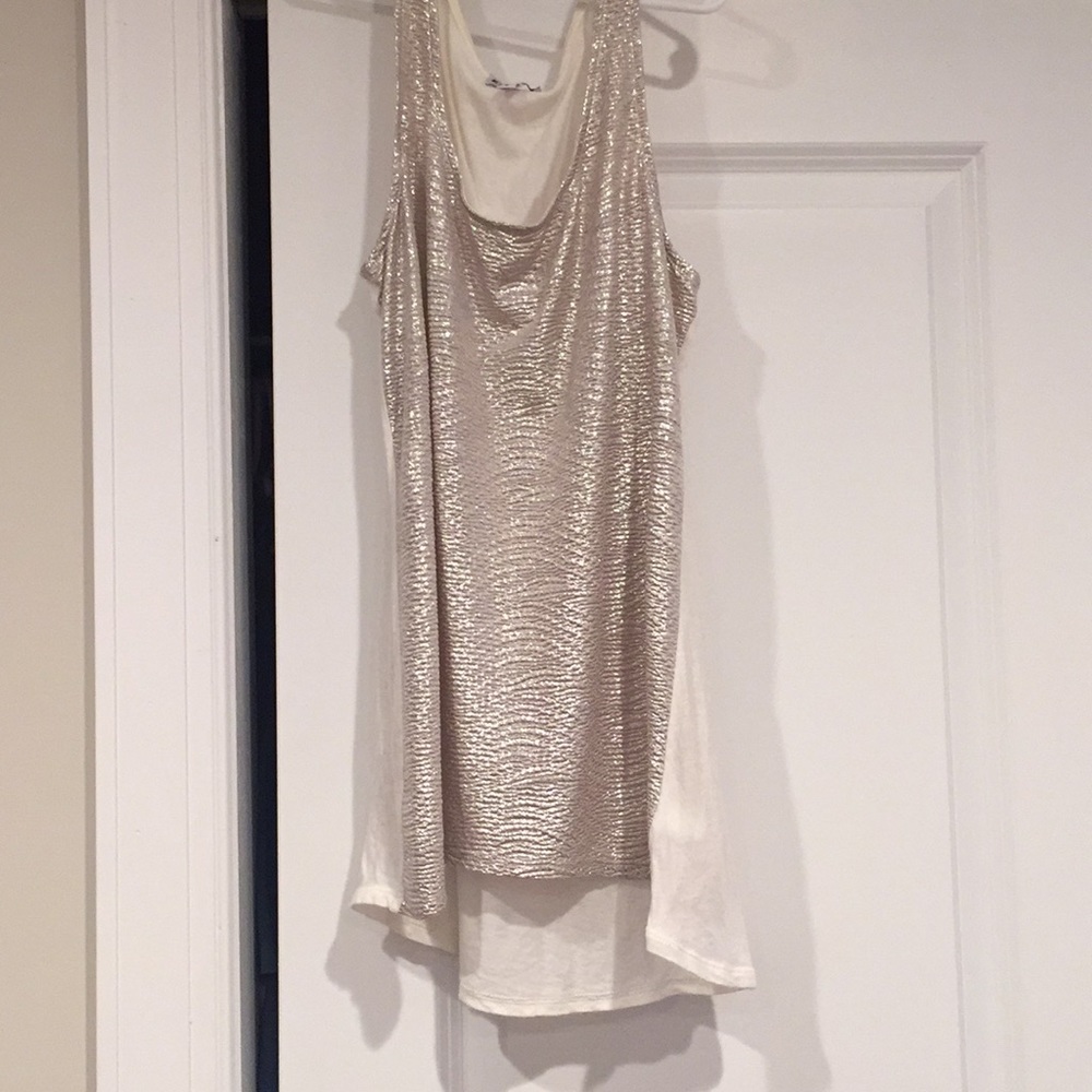 Express metallic silver tank top
